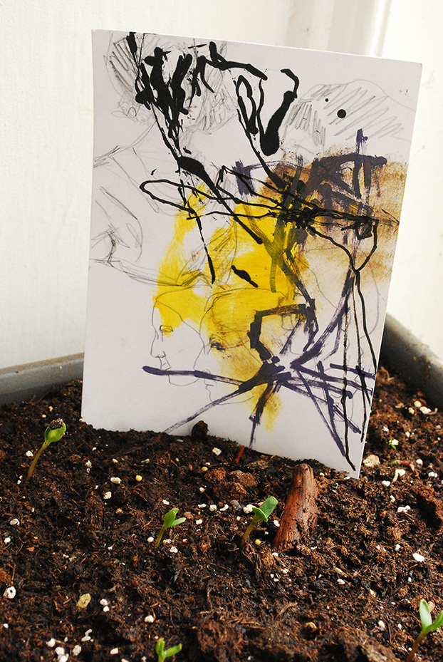 Zeichnung in Blumenbeet